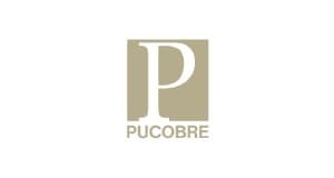 logo-web-pucobre